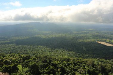 Tayland cliff üzerinde sis