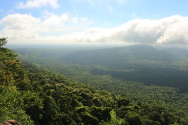 Tayland cliff üzerinde sis