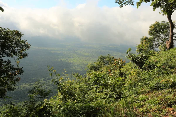 Brume sur la falaise en Thaïlande — Photo