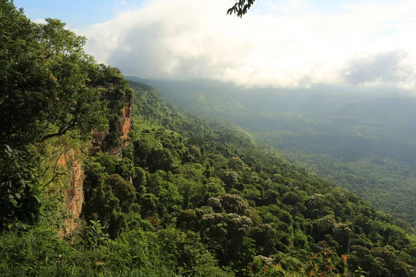 Tayland cliff üzerinde sis