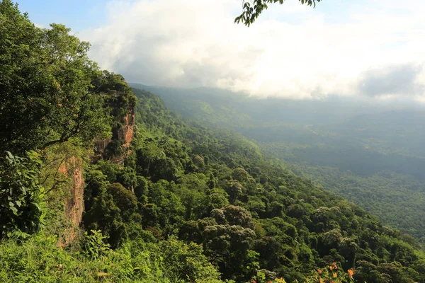 Tayland cliff üzerinde sis