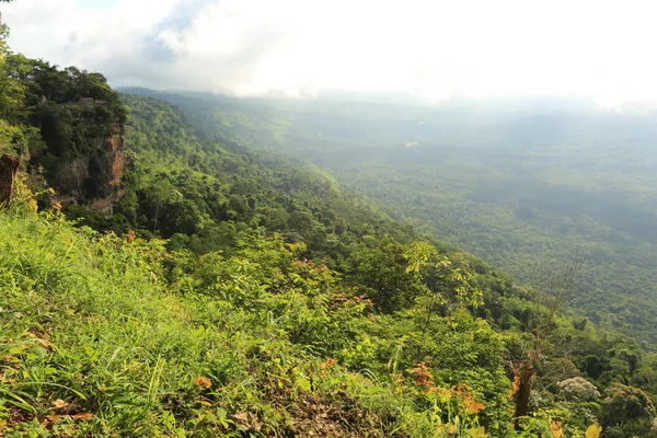 Nebel auf Klippe in Thailand — Stockfoto