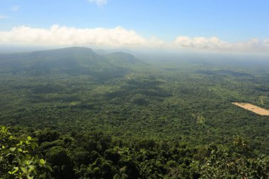 Tayland cliff üzerinde sis