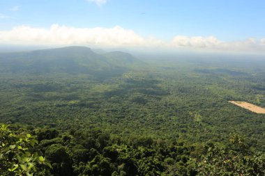 Tayland cliff üzerinde sis