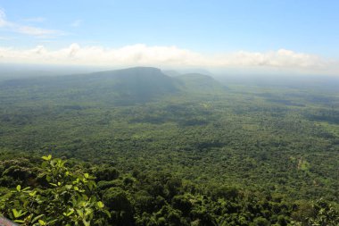 Tayland cliff üzerinde sis