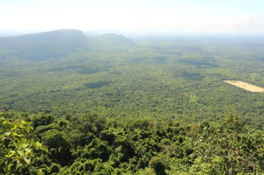 Tayland cliff üzerinde sis