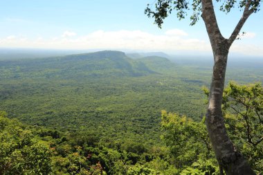 Tayland cliff üzerinde sis