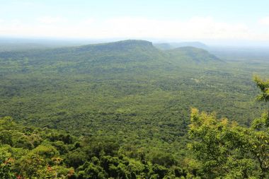Tayland cliff üzerinde sis