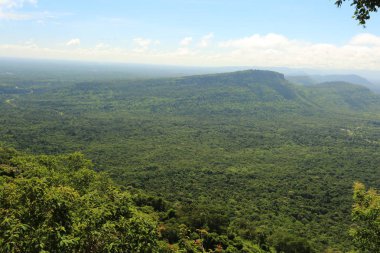 Tayland cliff üzerinde sis