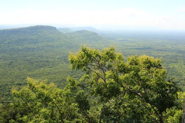 Tayland cliff üzerinde sis