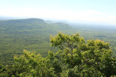 Tayland cliff üzerinde sis