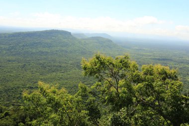 Tayland cliff üzerinde sis