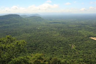 Tayland cliff üzerinde sis