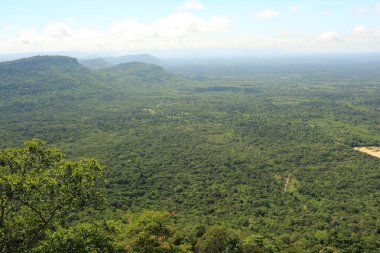 Tayland cliff üzerinde sis