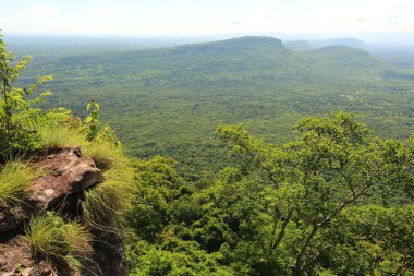 Tayland cliff üzerinde sis