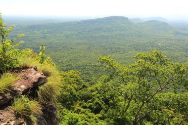 Tayland cliff üzerinde sis