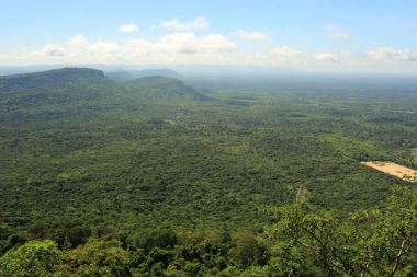 Tayland cliff üzerinde sis