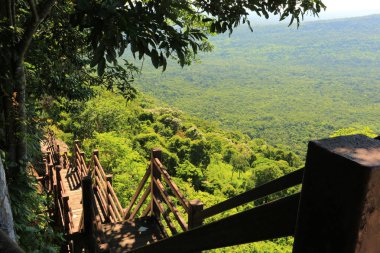 Tayland cliff üzerinde sis