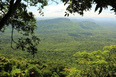 Tayland cliff üzerinde sis