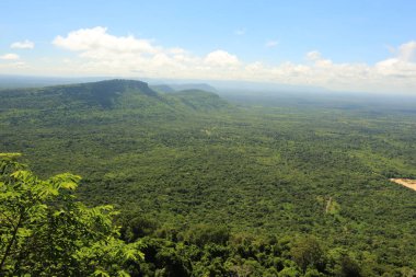 Tayland cliff üzerinde sis