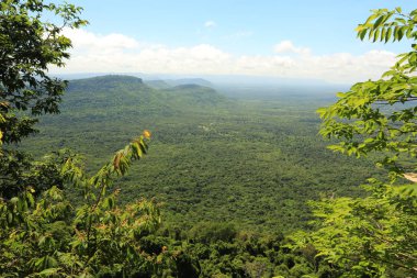 Tayland cliff üzerinde sis