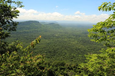 Tayland cliff üzerinde sis