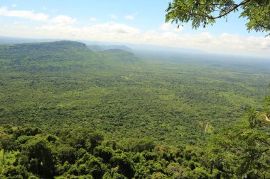 Tayland cliff üzerinde sis