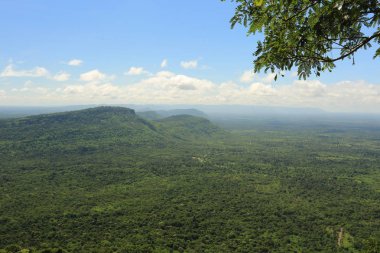 Tayland cliff üzerinde sis