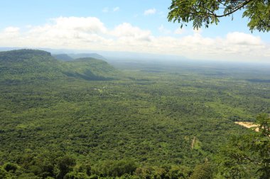 Tayland cliff üzerinde sis