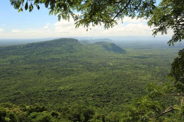 Tayland cliff üzerinde sis