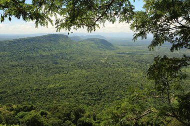 Tayland cliff üzerinde sis