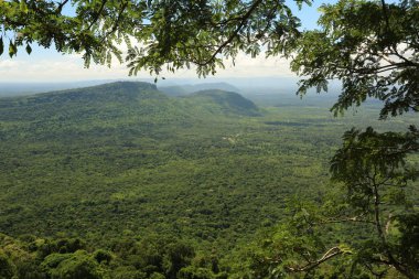 Tayland cliff üzerinde sis