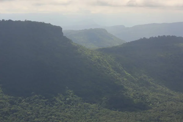 Mist på klippe i Thailand - Stock-foto