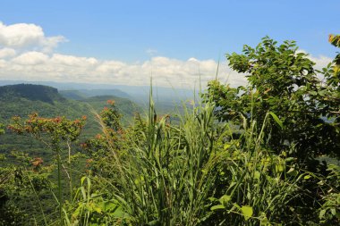 Tayland cliff üzerinde sis