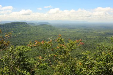 Tayland cliff üzerinde sis