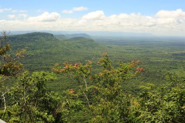 Tayland cliff üzerinde sis