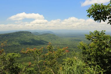 Tayland cliff üzerinde sis