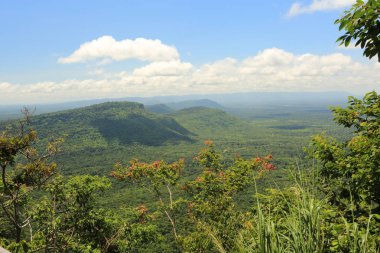 Tayland cliff üzerinde sis