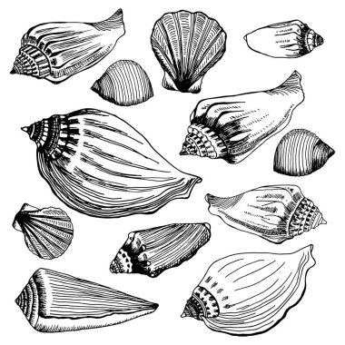 Çeviri: nazo82 Shagrathian