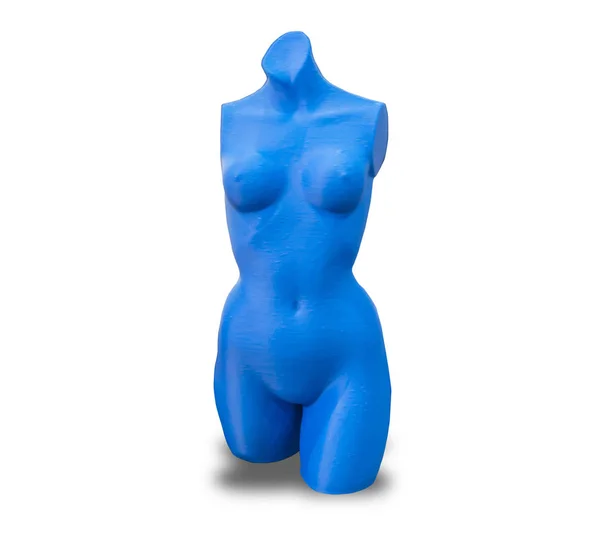 Blaue Dummy Weiblichen Oberkörper Isoliert Auf Weißem Hintergrund Mit Clipping — Stockfoto