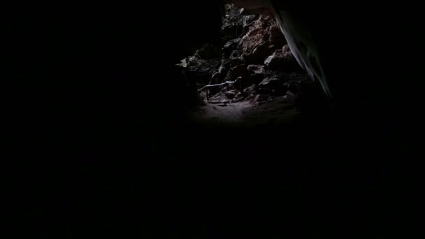 Handle Shot Walking Out Cave Place Hup Tad Forest Primitive — Stock Video