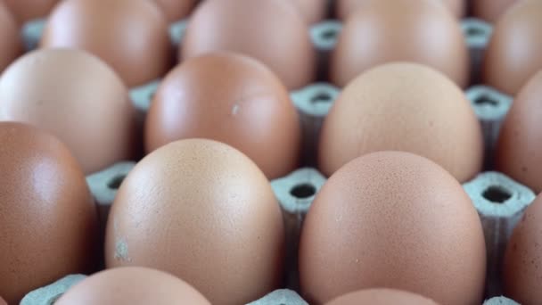 Close Rotation Video Shooting Hen Eggs Tray — Stock Video