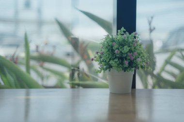 Çiçek saksıları cam pencerelerdeki tezgahı süslemek için kullanılır..