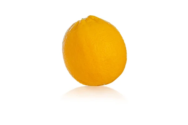 Oranssi Eristetty Valkoisella Pohjalla Leikkausreitillä — kuvapankkivalokuva