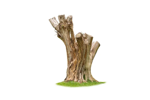 Hout Stump Geïsoleerd Witte Achtergrond Met Clipping Pad Stockfoto