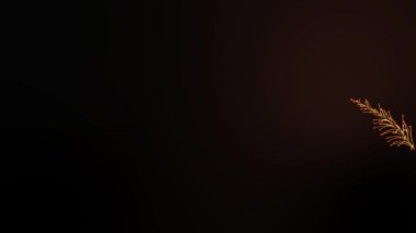 Hareket Grafiği Parıldayan Parçacık Dalgası, giriş videosu