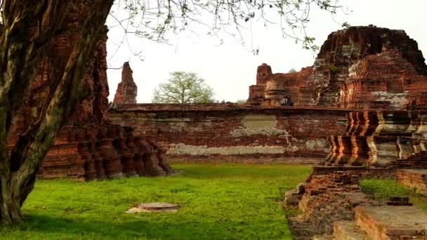 Guindaste Filmou Vídeo Das Ruínas Antigas Wat Maha Ayutthaya Ayutthaya — Vídeo de Stock