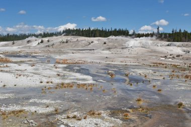 Lower Geyser Havzası, Yellowstone Ulusal Parkı, Wyoming, ABD