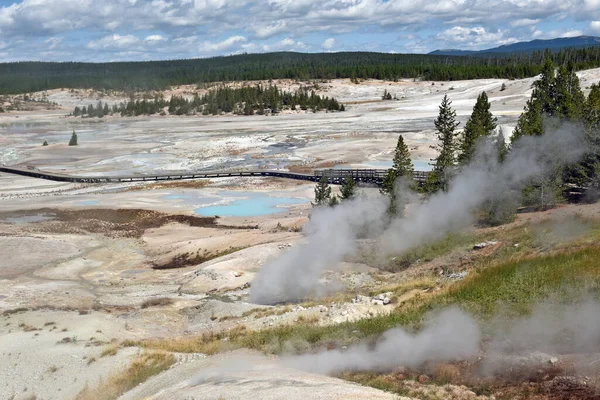 Vapor Piscinas Termales Opacas Norris Geyser Basin Parque Nacional Yellowstone — Foto de Stock