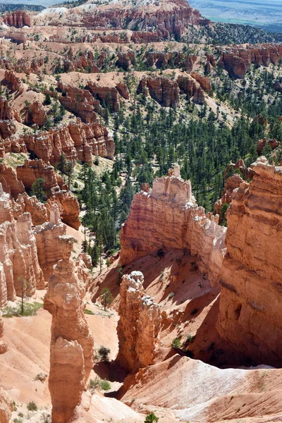 グランドキャニオンの日の出の早い アリゾナ サンセット グランドキャニオン国立公園 Yavapai Point Usa — ストック写真